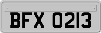 BFX0213