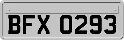 BFX0293