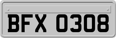 BFX0308