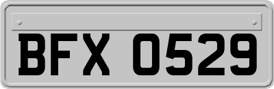 BFX0529