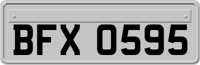 BFX0595