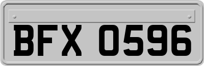 BFX0596
