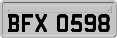 BFX0598