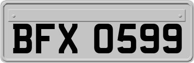 BFX0599