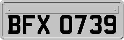 BFX0739