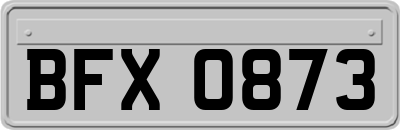 BFX0873