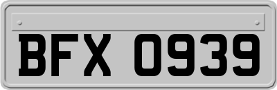 BFX0939