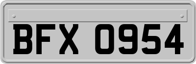 BFX0954