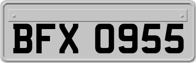 BFX0955