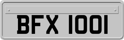 BFX1001