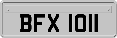 BFX1011