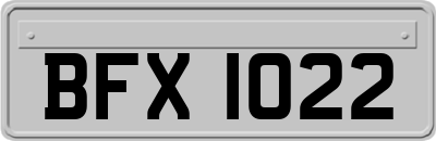 BFX1022