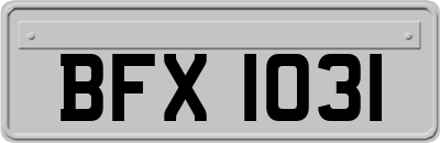 BFX1031