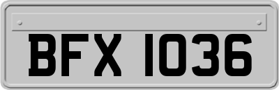 BFX1036