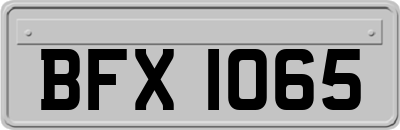 BFX1065