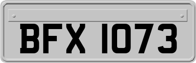BFX1073