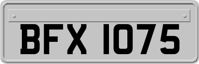 BFX1075