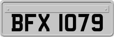 BFX1079