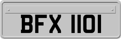 BFX1101