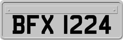 BFX1224