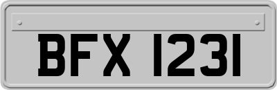 BFX1231