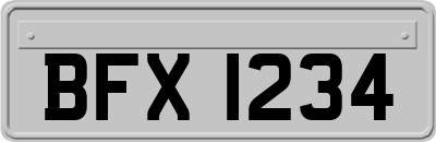 BFX1234