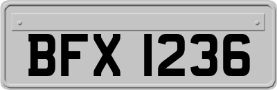 BFX1236