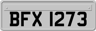 BFX1273