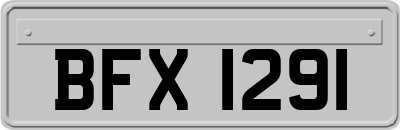 BFX1291