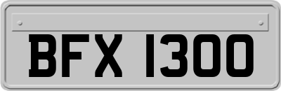 BFX1300