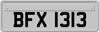 BFX1313