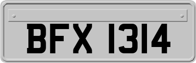 BFX1314