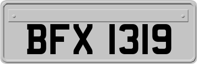BFX1319