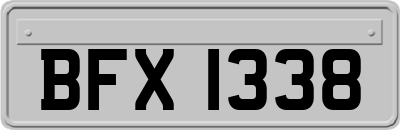 BFX1338