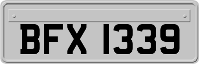BFX1339