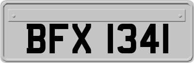 BFX1341