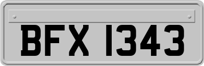 BFX1343