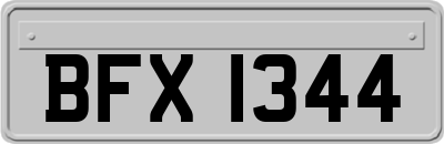 BFX1344