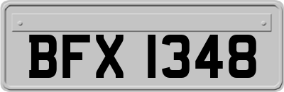BFX1348