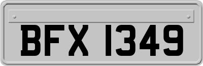 BFX1349