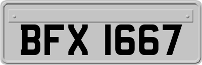BFX1667