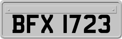 BFX1723