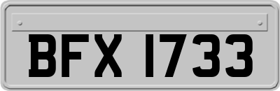 BFX1733