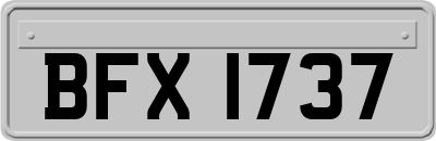 BFX1737