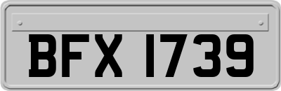 BFX1739