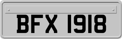 BFX1918