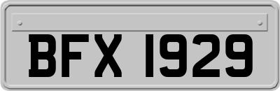 BFX1929