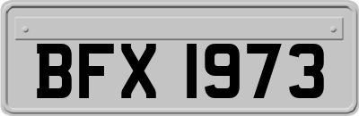 BFX1973