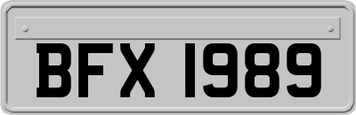 BFX1989