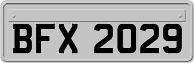 BFX2029